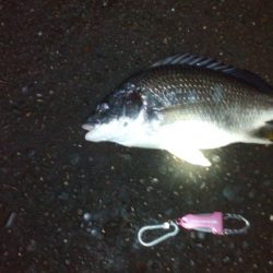 アジングからの·····