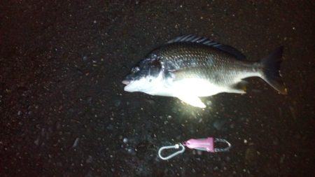 アジングからの·····