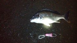 アジングからの·····