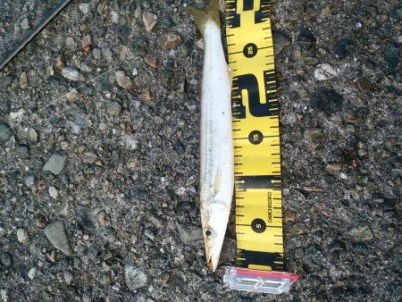 今日はどうか？