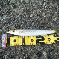 今日はどうか？