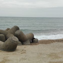 キス時々ガッチョ