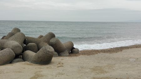 キス時々ガッチョ