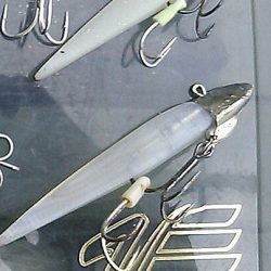 神戸港サーべリング