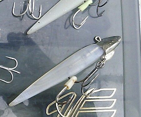 神戸港サーべリング