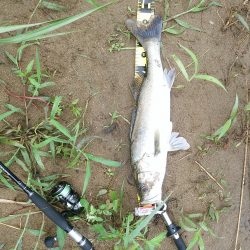 フックをチェンジして！