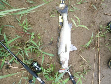 フックをチェンジして！