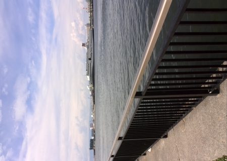 助松なぎさ公園　タコはもう終わり？