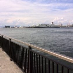 助松なぎさ公園　タコはもう終わり？