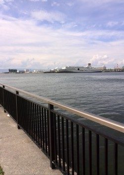 助松なぎさ公園　タコはもう終わり？