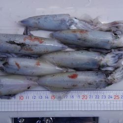 ライトエギング