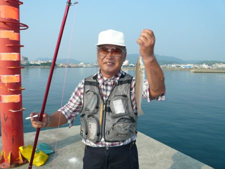 津名港の良型キス