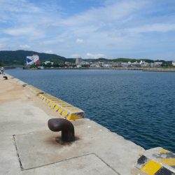 猛暑の志筑へキス狙い