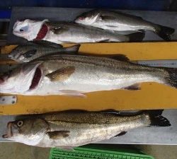 長かったです。