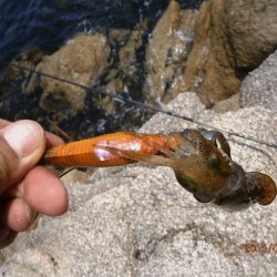 すくすく成長中