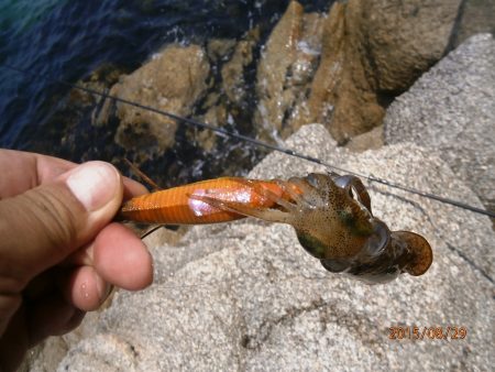 すくすく成長中