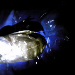 雨の後の中島埠頭