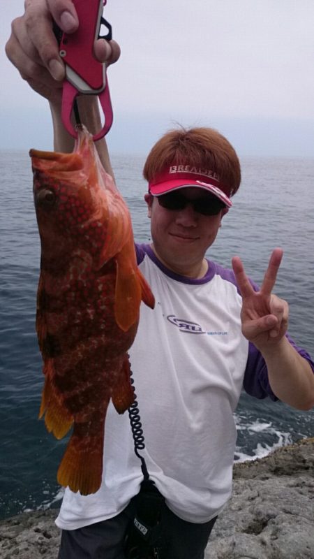 本命じゃないけど…