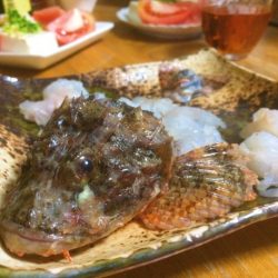 オニオコゼ釣って喰ったどー！シイラ釣果あり