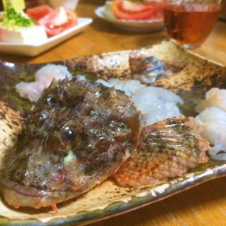 オニオコゼ釣って喰ったどー！シイラ釣果あり