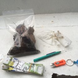 短時間でうなぎ2匹GET!!