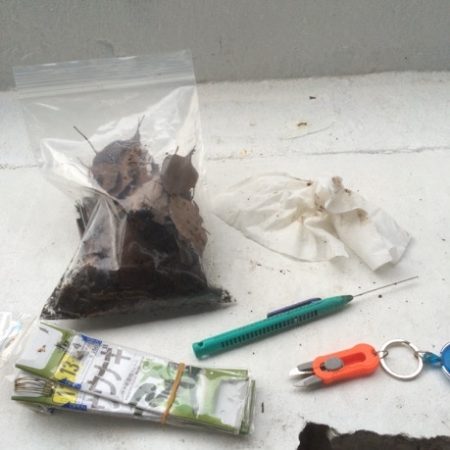 短時間でうなぎ2匹GET!!