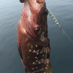 まだいてくれた