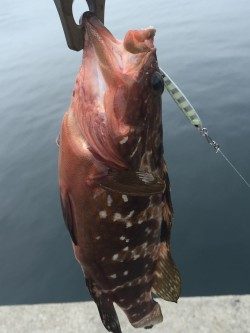 まだいてくれた