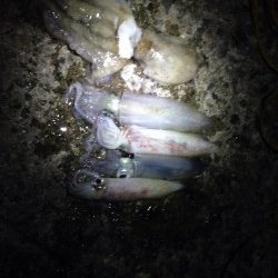 何とか粘って…