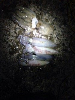 何とか粘って…