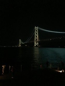 アジュールナイトエギング釣行