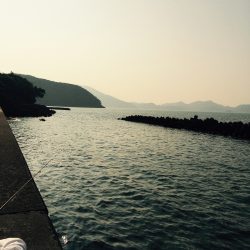 縦貫繋がって行ってみた。