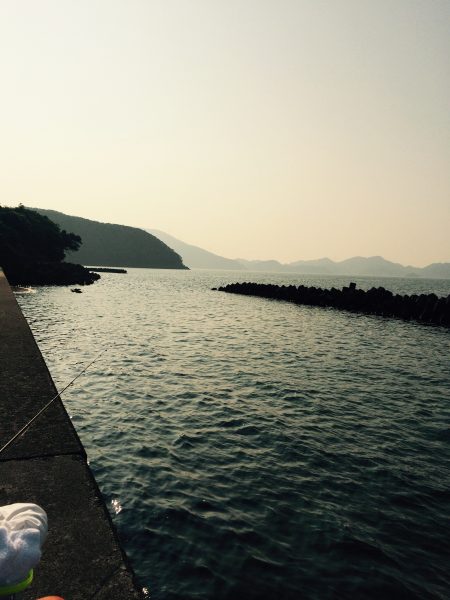 縦貫繋がって行ってみた。