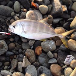 メッキ調査第2弾