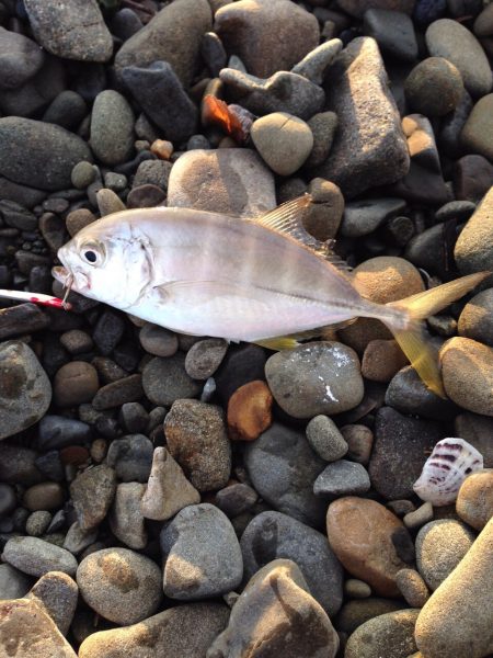 メッキ調査第2弾