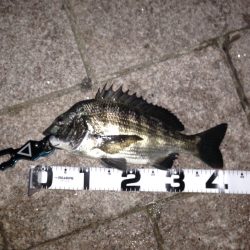 ボトムをコロコロ