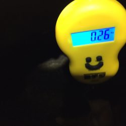 ボウズ逃れ 奇跡の一杯