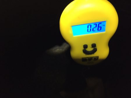 ボウズ逃れ 奇跡の一杯