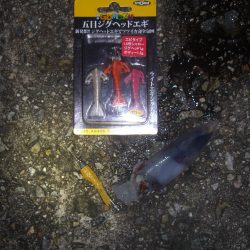 ライトエギング