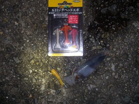 ライトエギング