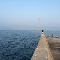 なんとかツバスゲット