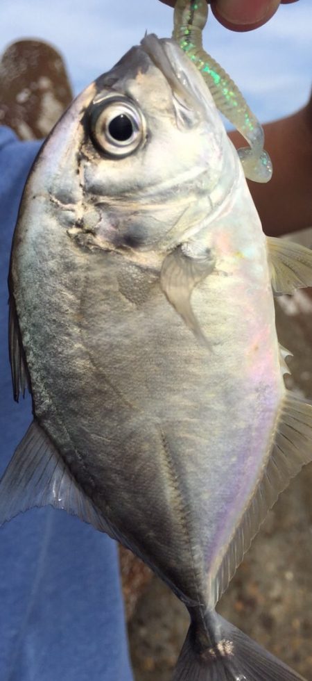 メッキ調査第3弾