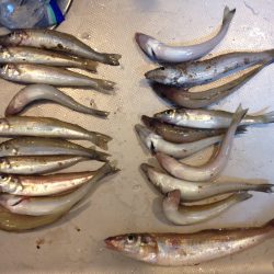 ターゲットを狙い撃ち！