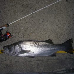 備えあれば憂いなし