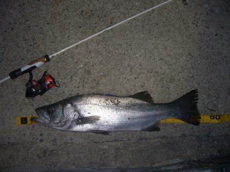 備えあれば憂いなし