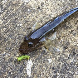 メッキ調査第４弾