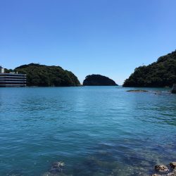 台風後の短時間調査