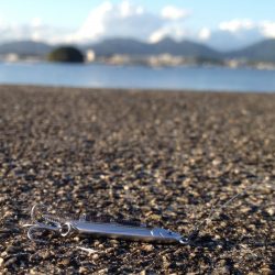 メッキシーズンイン？