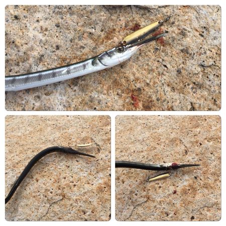 メッキ調査第5弾！大爆釣の巻