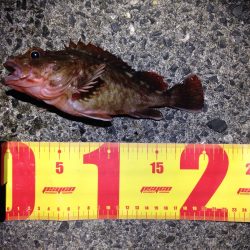 ターゲットを間違ったべ。